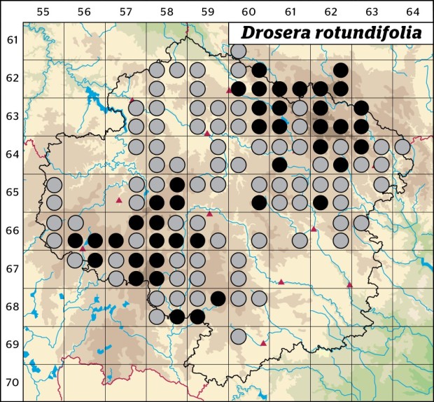 Mapa výskytu - rosnatka okrouhlolistá - Drosera rotundifolia