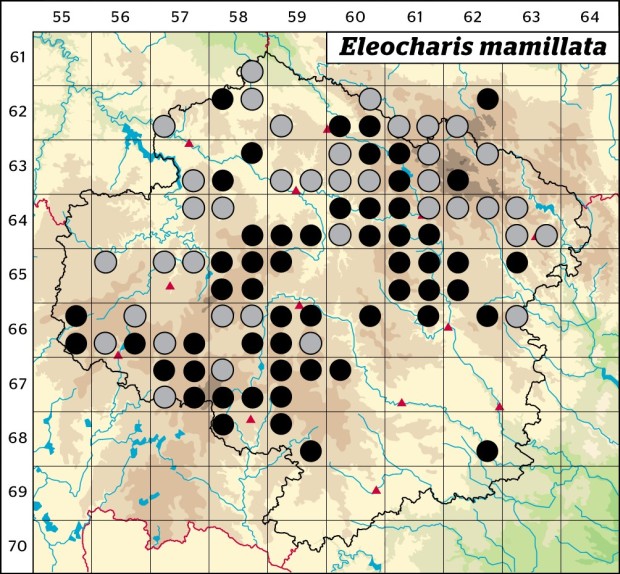 Mapa výskytu - bahnička bradavkatá - Eleocharis mamillata