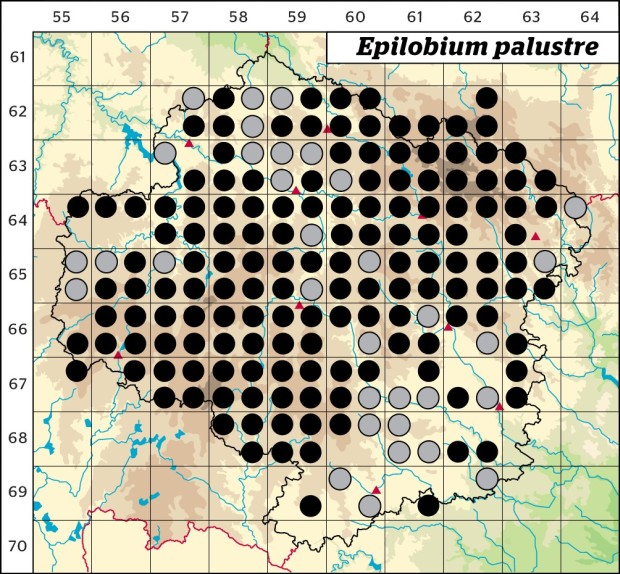 Mapa výskytu - vrbovka bahenní - Epilobium palustre