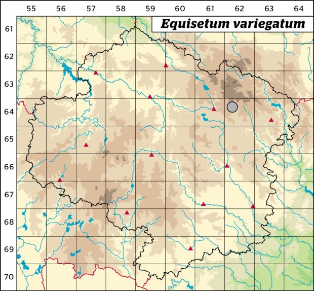 Mapa výskytu - přeslička různobarvá - Equisetum variegatum