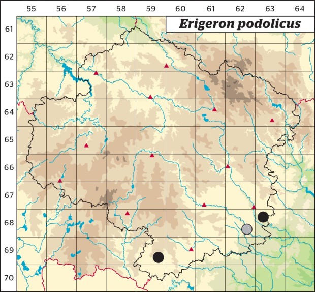 Mapa výskytu - turan podolský - Erigeron podolicus