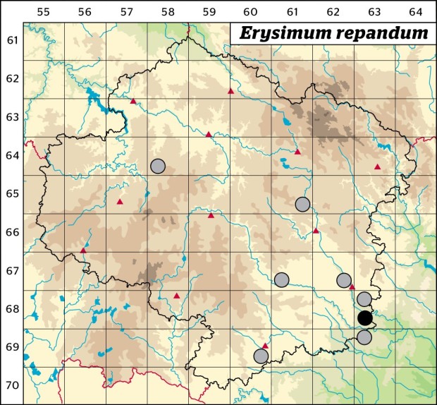 Mapa výskytu - trýzel rozkladitý - Erysimum repandum