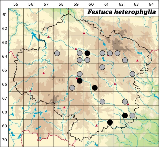 Mapa výskytu - kostřava různolistá - Festuca heterophylla