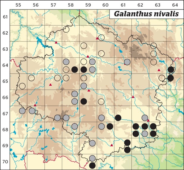 Mapa výskytu - sněženka podsněžník - Galanthus nivalis