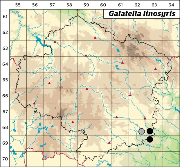 Mapa výskytu - hvězdnice zlatovlásek - Galatella linosyris