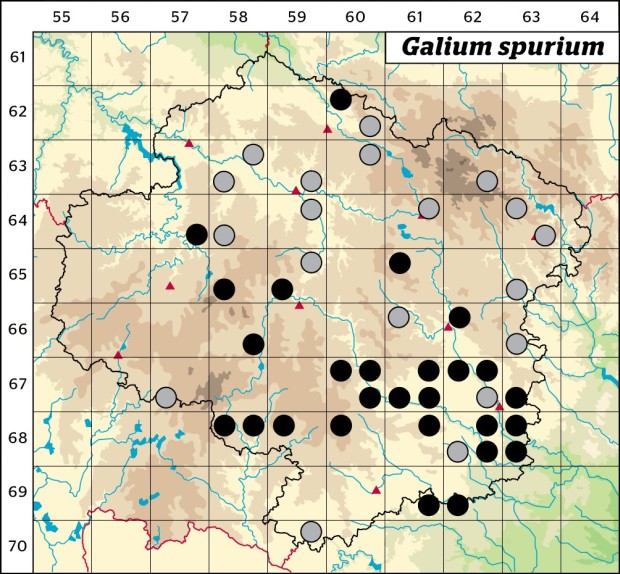 Mapa výskytu - svízel pochybný - Galium spurium