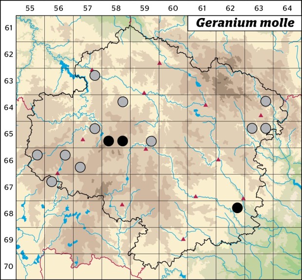 Mapa výskytu - kakost měkký - Geranium molle