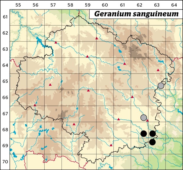 Mapa výskytu - kakost krvavý - Geranium sanguineum