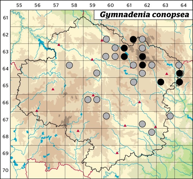 Mapa výskytu - pětiprstka žežulník - Gymnadenia conopsea