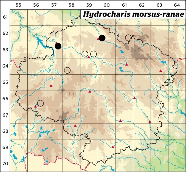 Mapa výskytu - voďanka žabí - Hydrocharis morsus-ranae