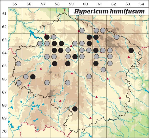 Mapa výskytu - třezalka rozprostřená - Hypericum humifusum