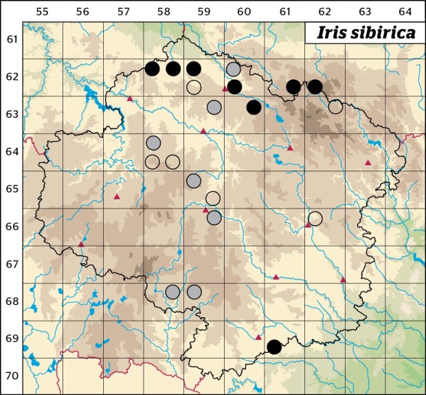Mapa výskytu - kosatec sibiřský - Iris sibirica