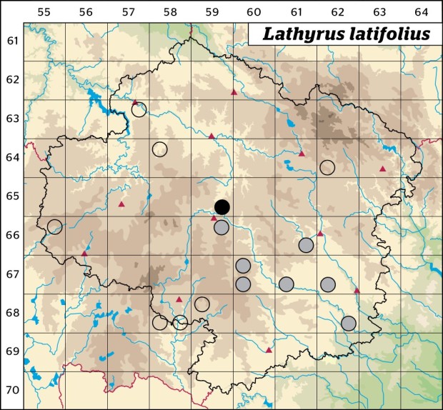 Mapa výskytu - hrachor širolistý - Lathyrus latifolius