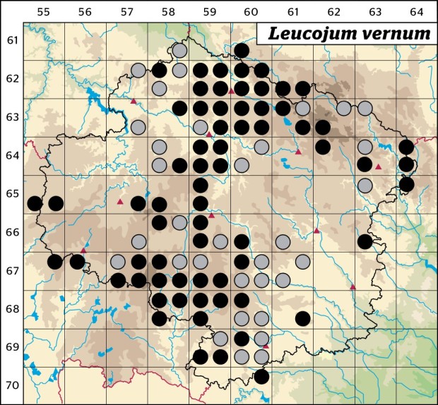 Mapa výskytu - bledule jarní - Leucojum vernum
