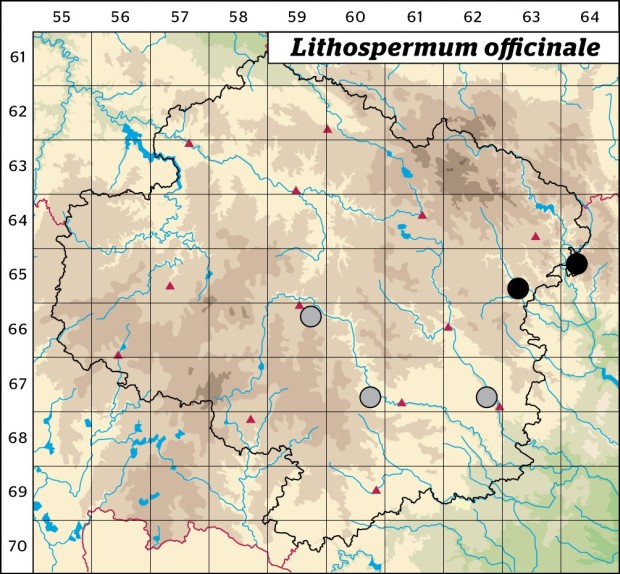 Mapa výskytu - kamejka lékařská - Lithospermum officinale