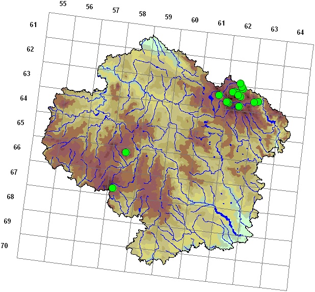 Mapa výskytu - křižítka břichatá - Lophozia ventricosa