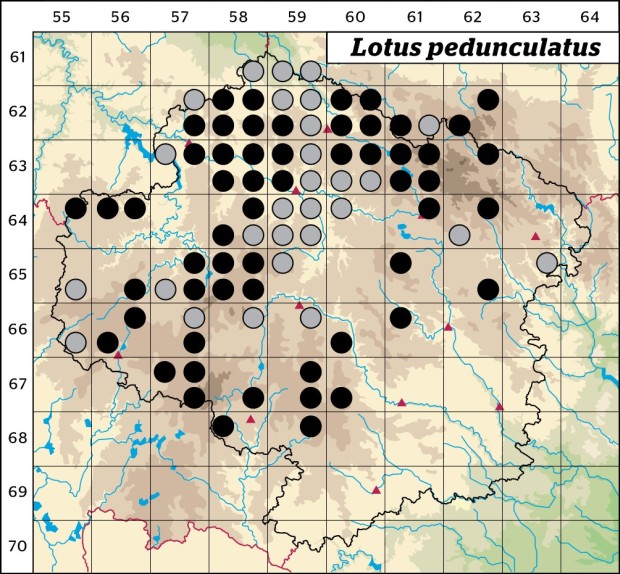 Mapa výskytu - štírovník bažinný - Lotus pedunculatus