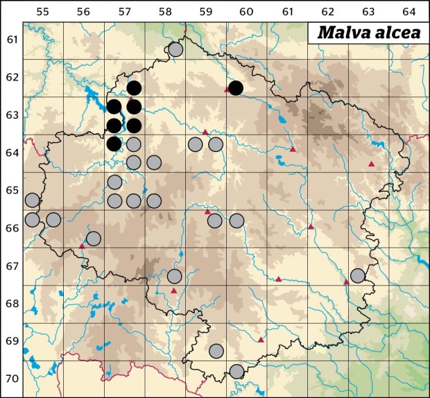 Mapa výskytu - sléz velkokvětý - Malva alcea