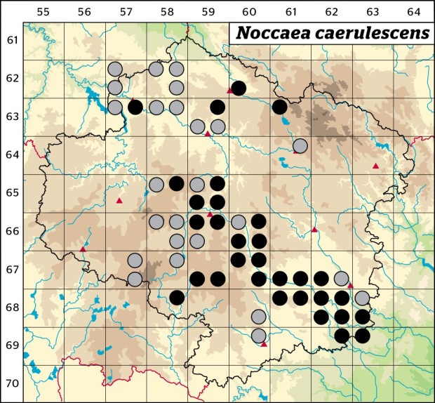 Mapa výskytu - penízek modravý - Noccaea caerulescens