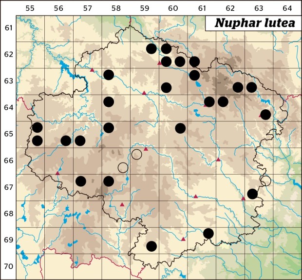 Mapa výskytu - stulík žlutý - Nuphar lutea