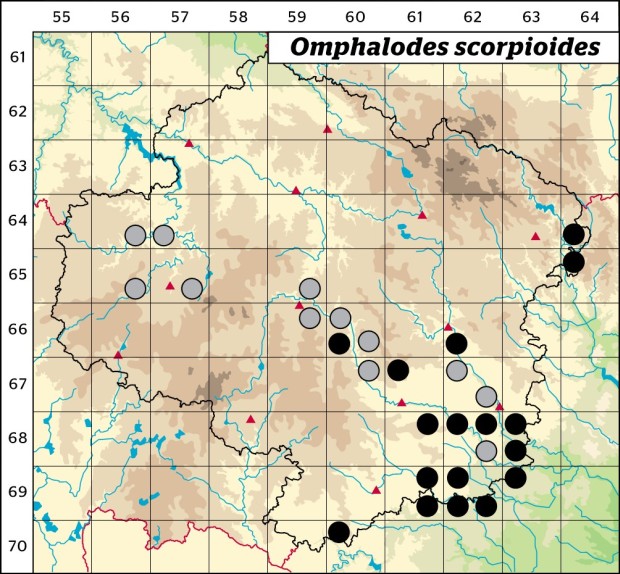 Mapa výskytu - pupkovec pomněnkový - Omphalodes scorpioides