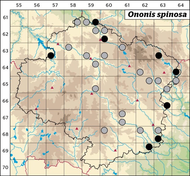 Mapa výskytu - jehlice trnitá - Ononis spinosa