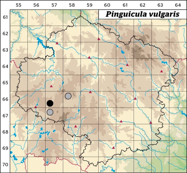Mapa výskytu - tučnice obecná - Pinguicula vulgaris