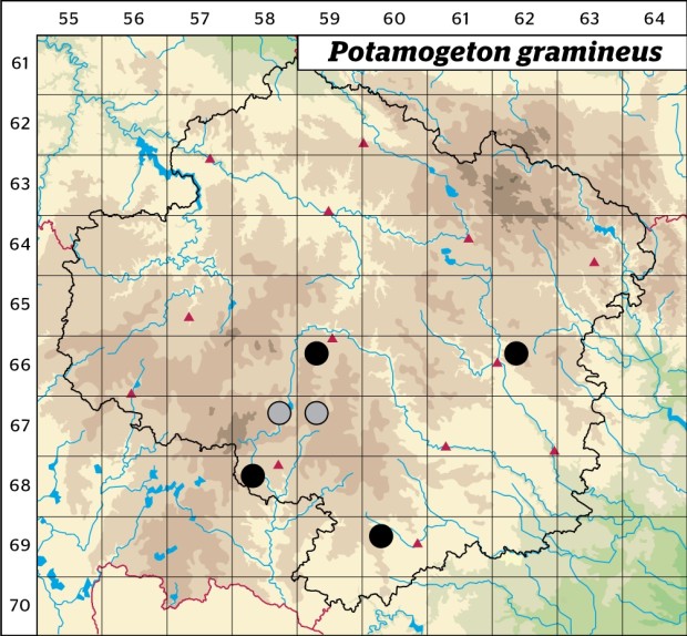 Mapa výskytu - rdest trávolistý - Potamogeton gramineus