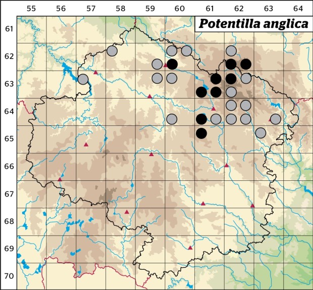 Mapa výskytu - mochna anglická - Potentilla anglica