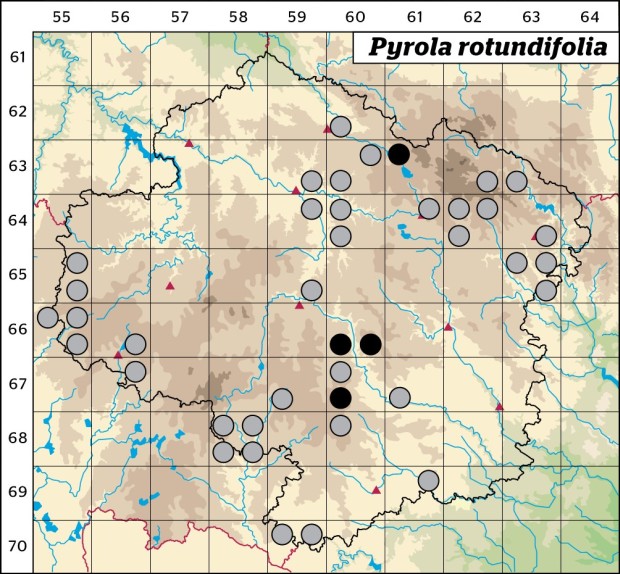 Mapa výskytu - hruštička okrouhlolistá - Pyrola rotundifolia