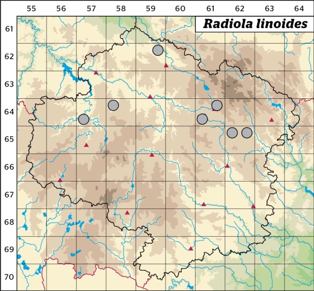 Mapa výskytu - stozrník lnovitý - Radiola linoides