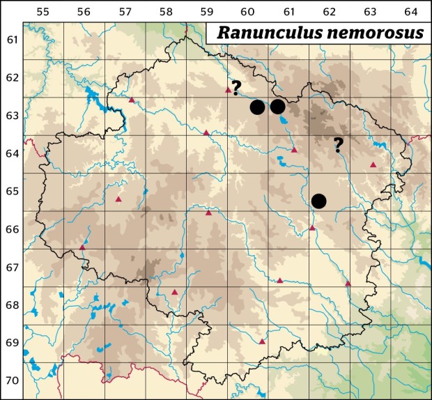 Mapa výskytu - pryskyřník hajní - Ranunculus nemorosus