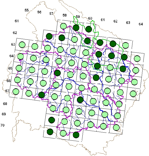 Mapa výskytu - králíček ohnivý - Regulus ignicapilla