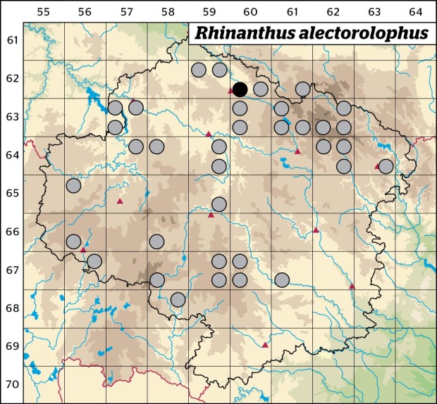 Mapa výskytu - kokrhel luštinec - Rhinanthus alectorolophus