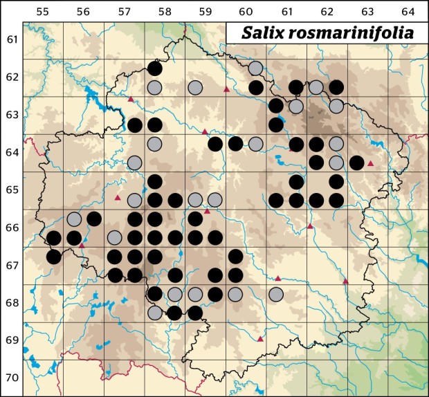 Mapa výskytu - vrba rozmarýnolistá - Salix rosmarinifolia