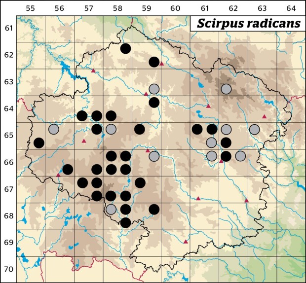 Mapa výskytu - skřípina kořenující - Scirpus radicans