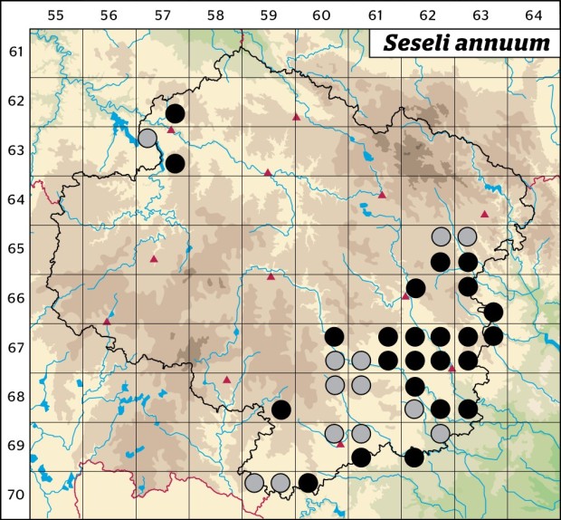 Mapa výskytu - sesel roční - Seseli annuum