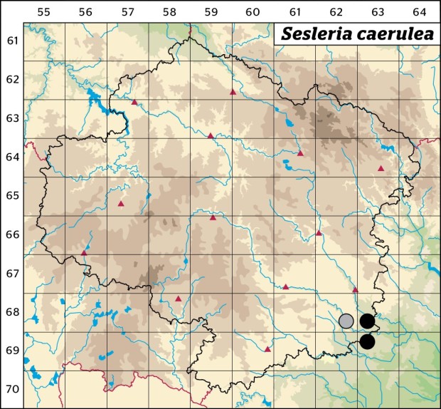Mapa výskytu - pěchava vápnomilná - Sesleria caerulea