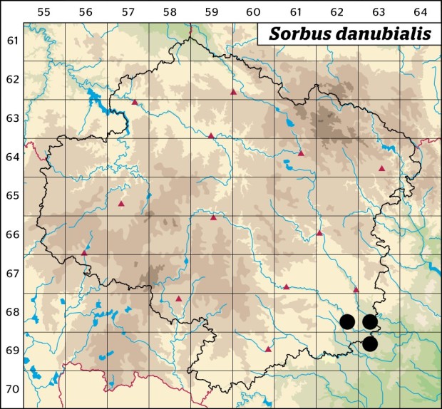 Mapa výskytu - jeřáb dunajský - Sorbus danubialis