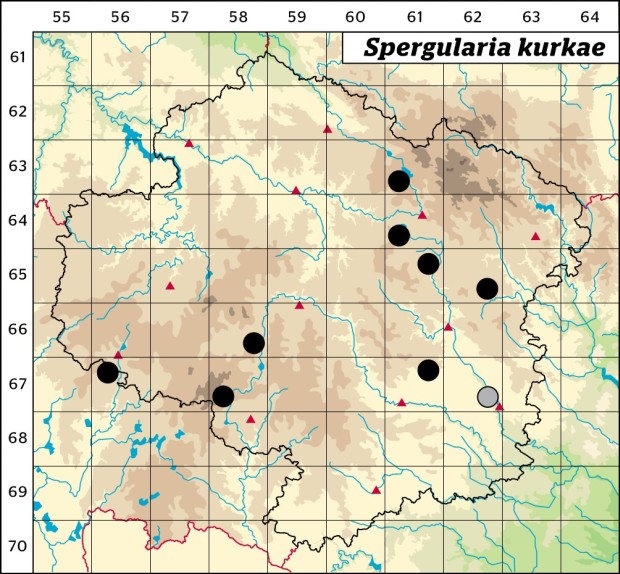 Mapa výskytu - kuřinka kůrkova - Spergularia kurkae