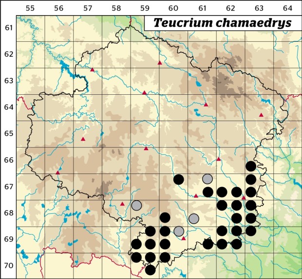Mapa výskytu - ožanka kalamandra - Teucrium chamaedrys