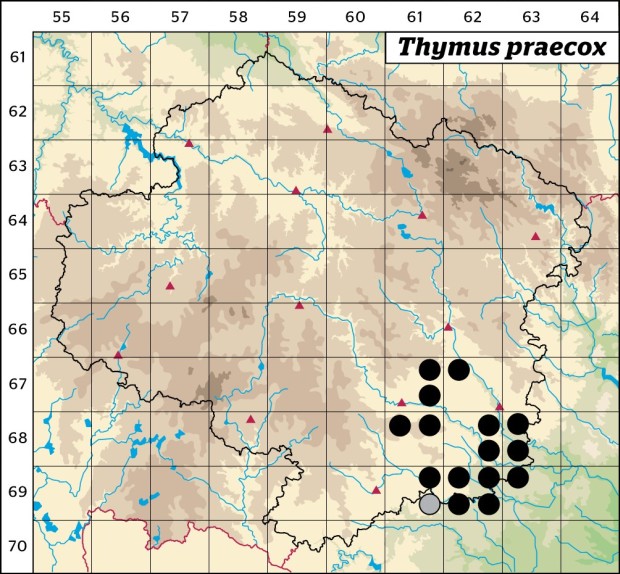 Mapa výskytu - mateřídouška časná - Thymus praecox