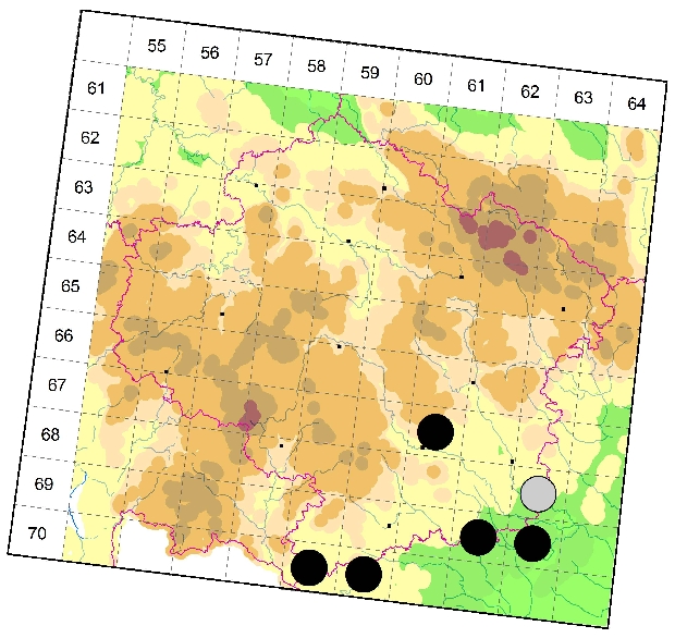 Mapa výskytu - pavučenka ušatá - Trichoncus auritus