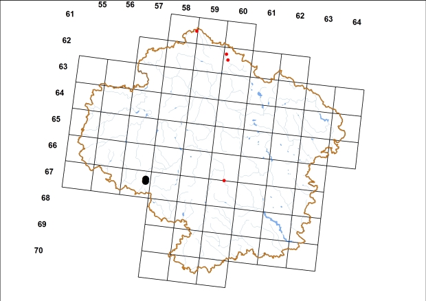 Mapa výskytu - údolníček šikmý - Vallonia excentrica
