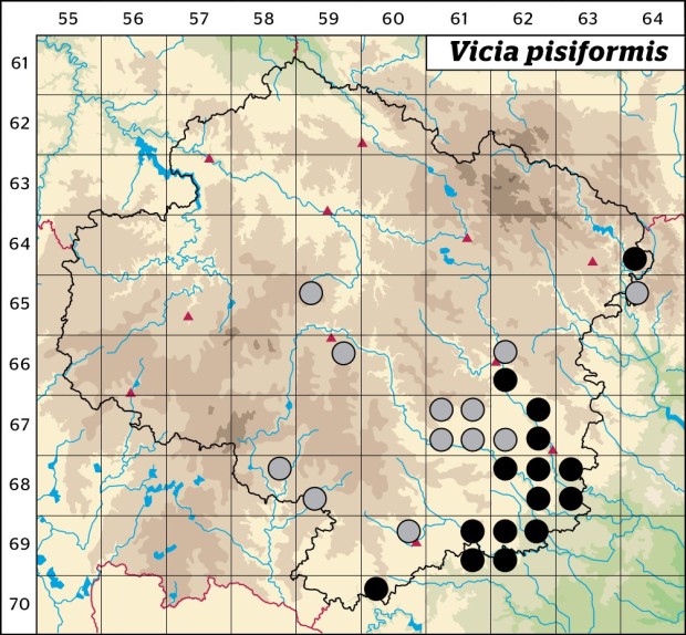 Mapa výskytu - vikev hrachovitá - Vicia pisiformis