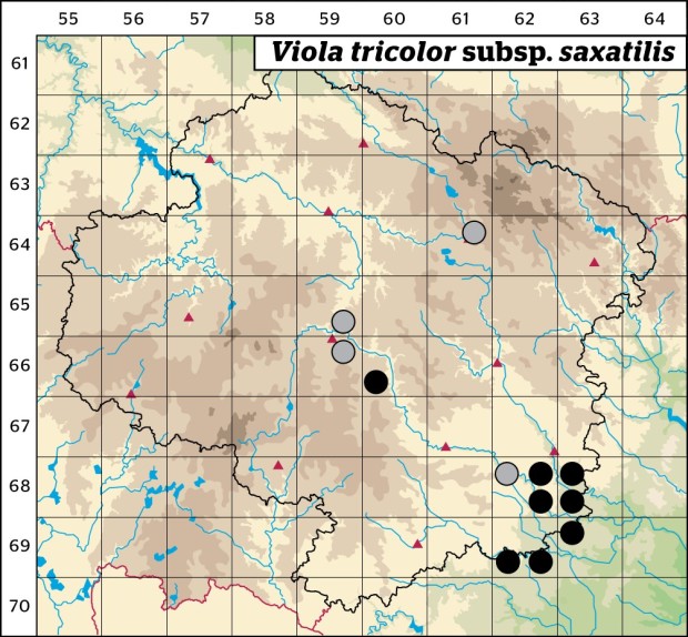 Mapa výskytu - violka trojbarevná skalní - Viola tricolor subsp. saxatilis