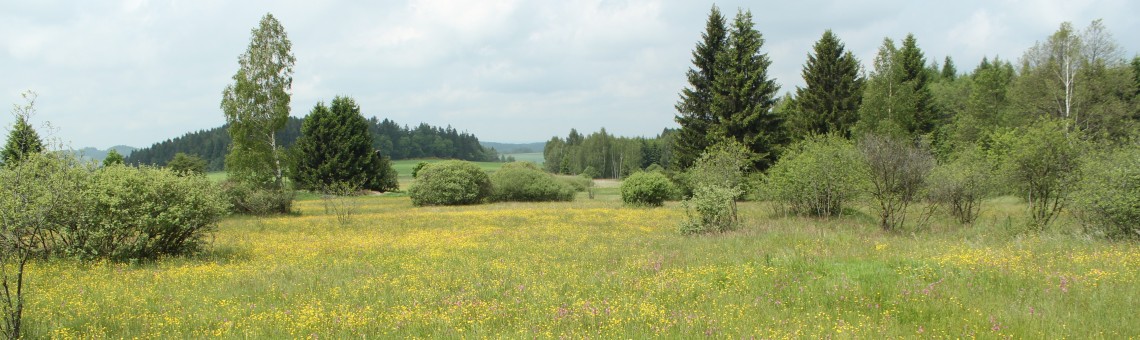 U Farského lesa, Branišov u Jihlavy [JI] - foto Libor Ekrt