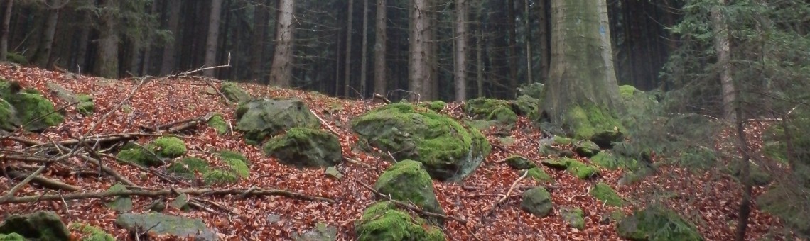 RBC Orlík, Čejov [PE] - 17.11.2014, foto Vojtěch Kodet