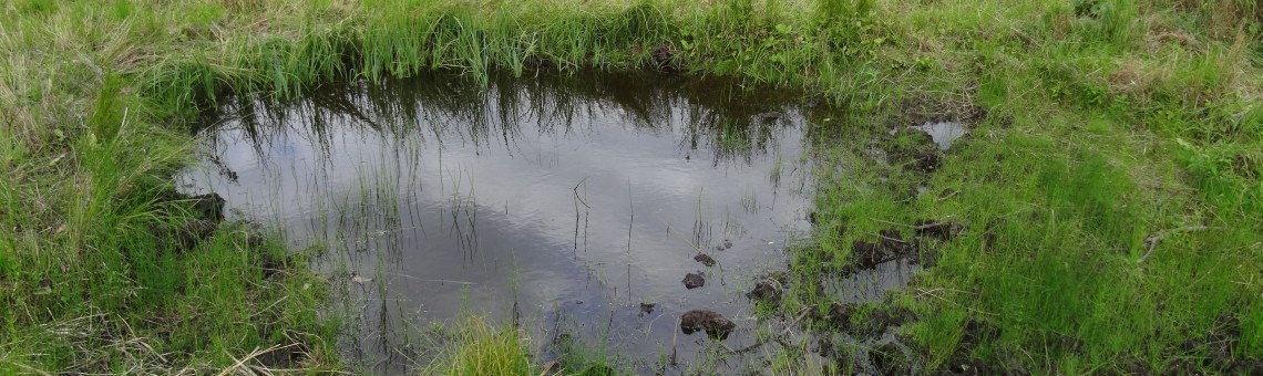 PR Doupský a Bažantka, Doupě [JI] - 8.9.2015, foto Vojtěch Kodet