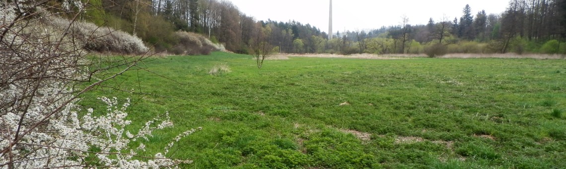 Starohorský mokřad, Staré Hory [JI] - foto Vojtěch Kodet